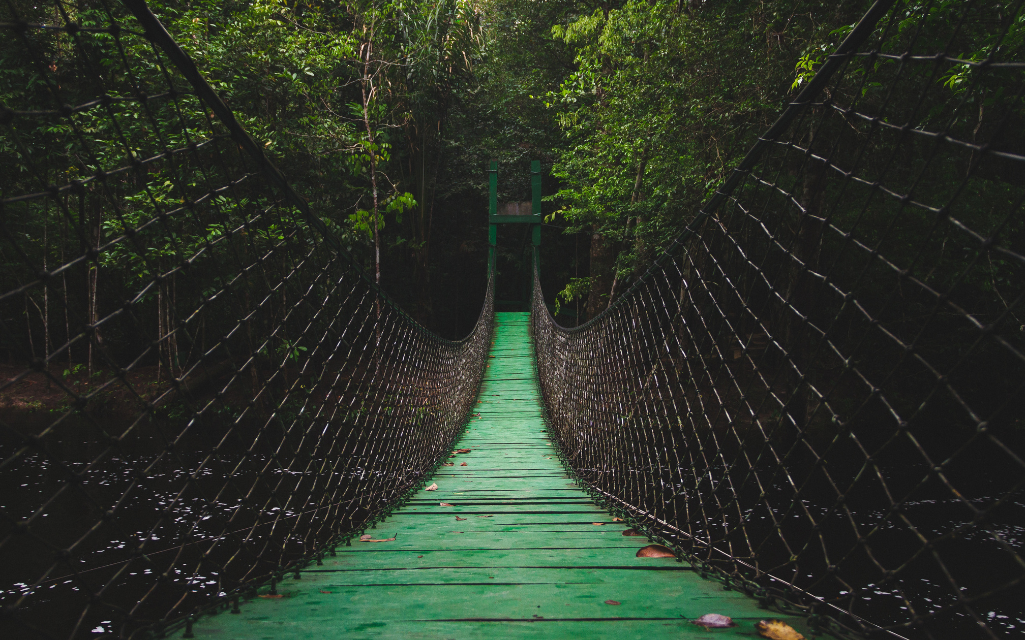 A Dreen Bridge